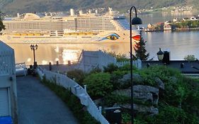 Duze Mieszkanie W Centrum Alesund